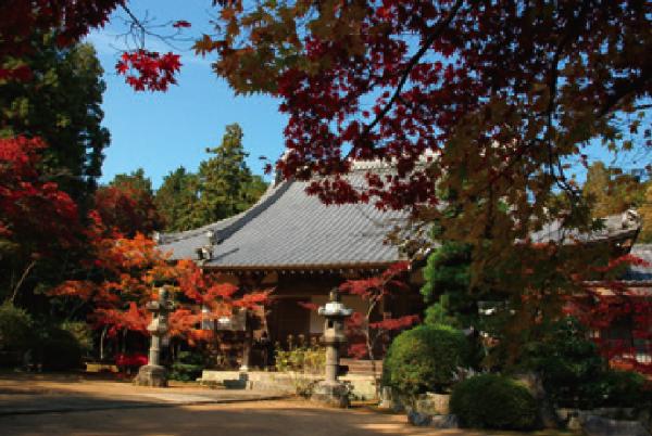 【慈眼寺】鼠小僧次郎吉の墓がある。