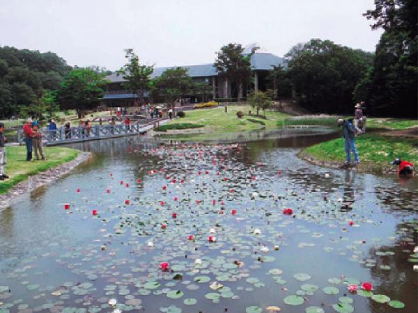 【兵庫県立三木山森林公園】
｢森と暮らす｣がコンセプト。森林浴、散歩などあふれる自然が魅力。